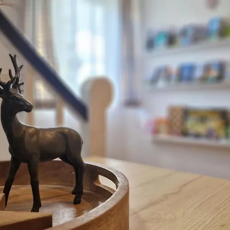 Apartamento Wolf - 